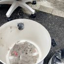 남현동-33 | 사당동 이수 방배동 남현동 강남 교대 서울대 서울 전 지역 입주청소 이사청소 건물관리 계단청소 전문...