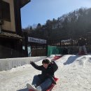 송현초등학교 | 인천송현초등학교근처학원 에버랜드 체험학습, 우리 아이들과 함께한 특별한 하루