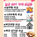 놀고 쉬다가개 이미지