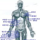 담이결릴때 이미지