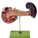 (주)일진과학 이미지