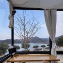 팡시온 | 대전 데이트 맛집 대청호뷰 브런치 카페 팡시온 솔직 후기