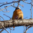 문산읍-1 이미지