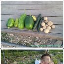 두명마을자연체험촌 이미지
