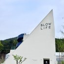 시지카페) 대구 신상 베이커리 브런치 카페 슬로우라이프 욱수 가오픈 후기 SLOW LIFE