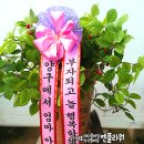 킨텍스꿈동물병원 이미지