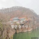 함안 능가사 칠성탱 이미지
