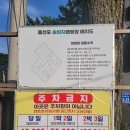 솔비치캠핑장 이미지