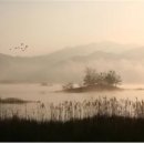 금수강산환경 이미지