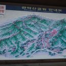 시골집영양탕토종닭 이미지