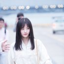 키쿠 이미지