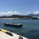 송지호 굿모닝하우스 이미지