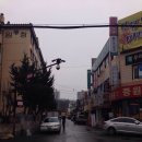 마상로107번길 이미지