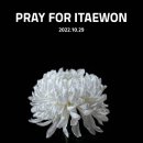 플립그라운드