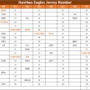 HanHwa Eagles Jersey NUMBER 이미지