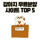 도그짱 | 강아지 무료분양 사이트 TOP 5 사기 구별법
