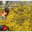 금천구청 앞 이미지