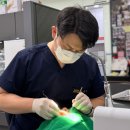 세종교정치과기공소 | 세종시치과, 어딜가야 안아프게 잘 치료해줄까?