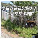 박주기 | 신시모도 스쿠터 대여 수도권근교 당일치기데이트 포토존추천