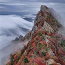 구름바다 이미지