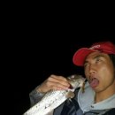 갑천주유소 이미지