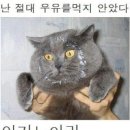 정도마트