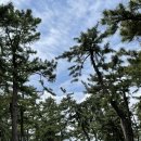 솔향기약국 이미지