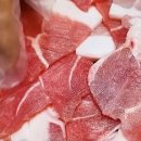 깜짝식당 이미지