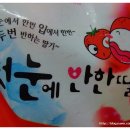 첫눈에반한푸드