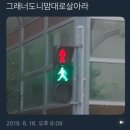 조아인 이미지