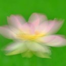 한국카메라박물관 이미지