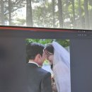 유하픽 이미지