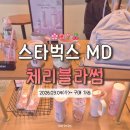 더블유 블라썸 | 스벅 벚꽃 MD < 체리블라썸 > 굿즈 실물후기 가격
