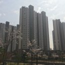 호반베르디움 앞 이미지