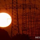 심해전자 이미지