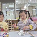 (주)꽃사세요