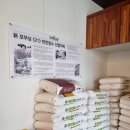 사철밀면 이미지