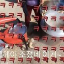 대명라이프 이미지