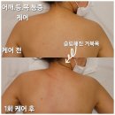 더 나움