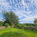 알마레월정 이미지