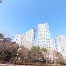 화성대표공인중개사사무소 이미지