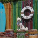 DOG채 애견스테이 네이버블로그
