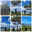 엄광산 나들숲길 | 부산 엄광산 등산) 가야공원 대원사에서 엄광산 등산 코스 / 부산 등산 할 만한 곳 / 부산 등산 코스...