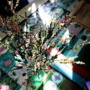 산타아나스 이미지