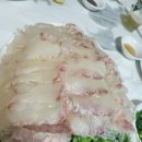 신안촌 Daum카페