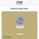 눈큰새우게스트하우스 | 이집트🇪🇬 | 다합(Dahab) | 스쿠버다이빙 자격증 5일 후기 with 홍해네 | Day91~95