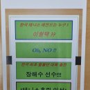 테니스홀릭