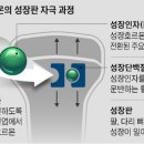 바로고침한의원 이미지
