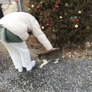 세븐일레븐단양영춘터미널점 | 단양펜션 소백산빌리지 복층 4인 투숙 후기