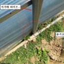 보니하우스 이미지